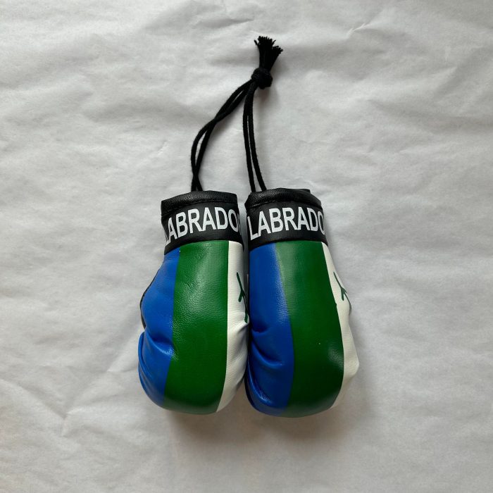 Labrador Boxing Gloves - Rearview Mirror