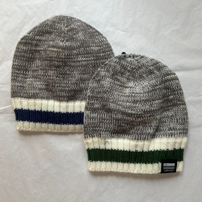 Labrador Beanie